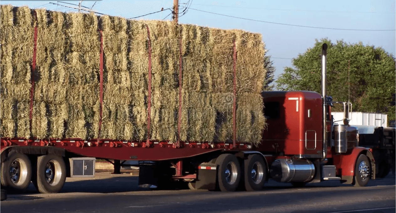 Feed & Hay Transport